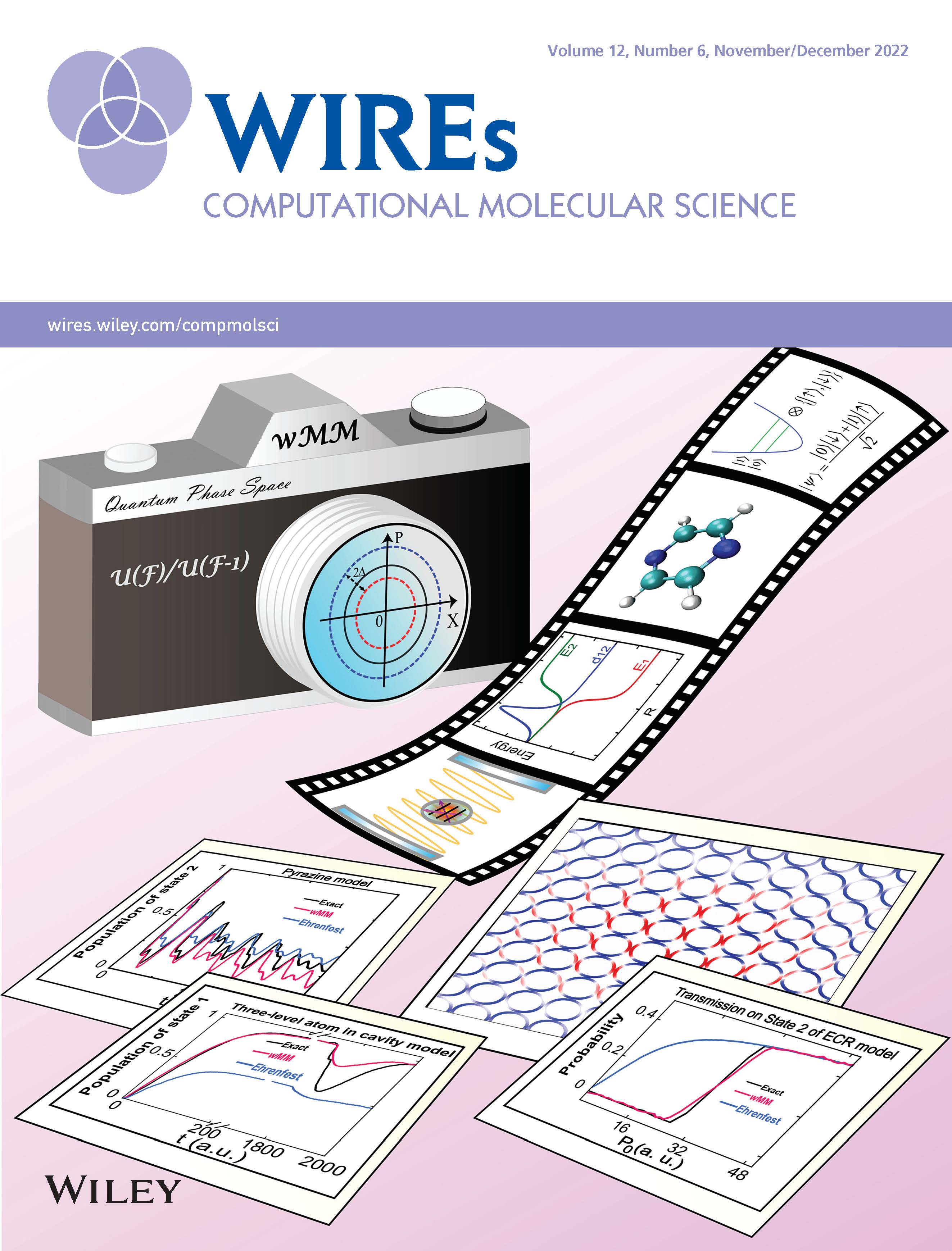 Phase Space Quantum Dynamics